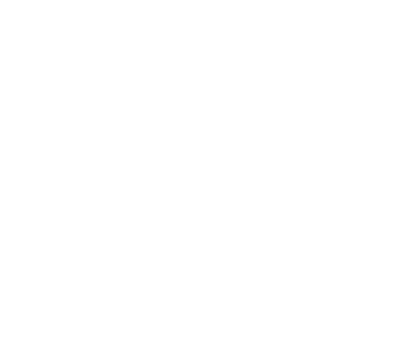 the kobe cruise