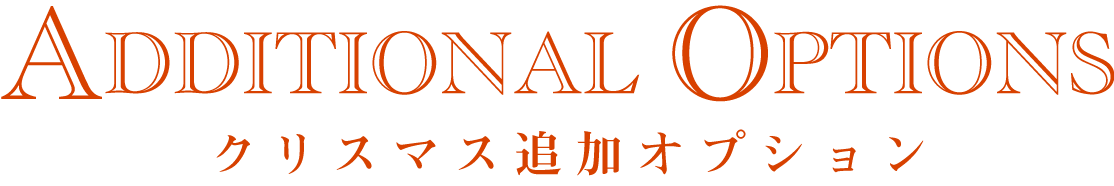 クリスマスオプション