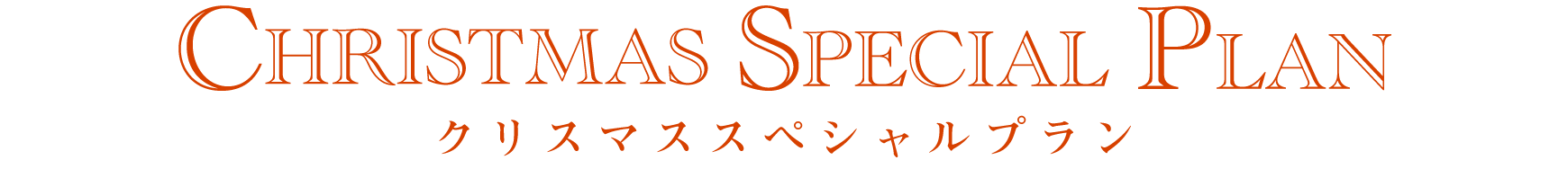 クリスマスオプション