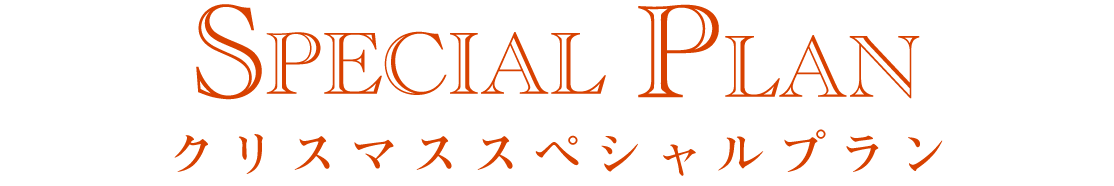 クリスマスオプション
